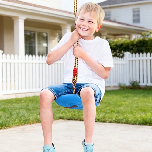 Outdoor hanging disc - disc, swing